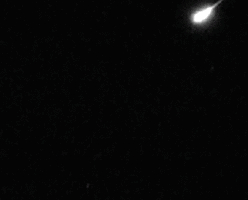 Tucson desert night sky during the Perseid meteor shower